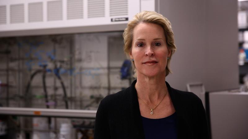 Photo of Frances Arnold