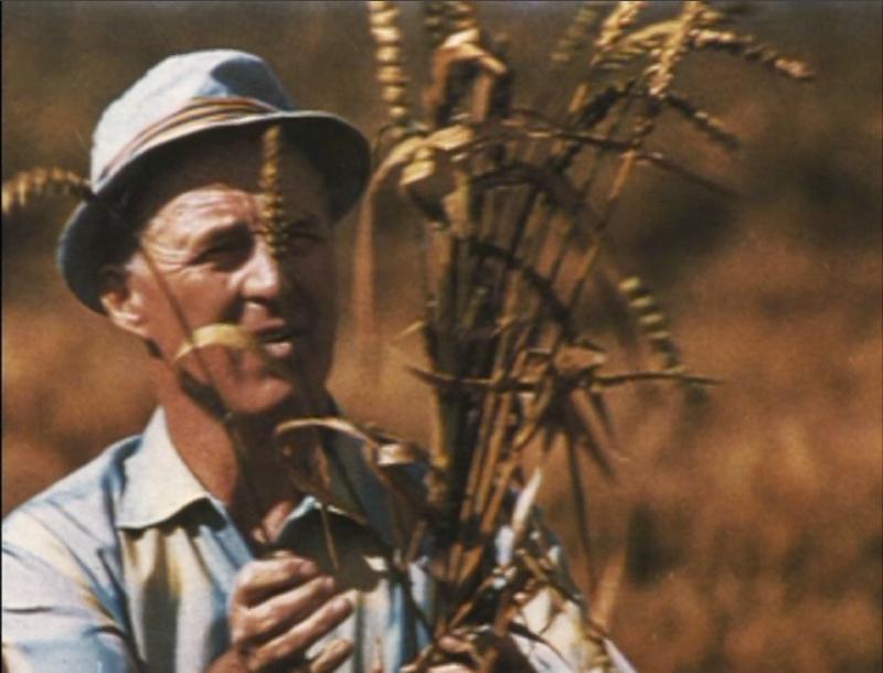 Photo of Norman E. Borlaug