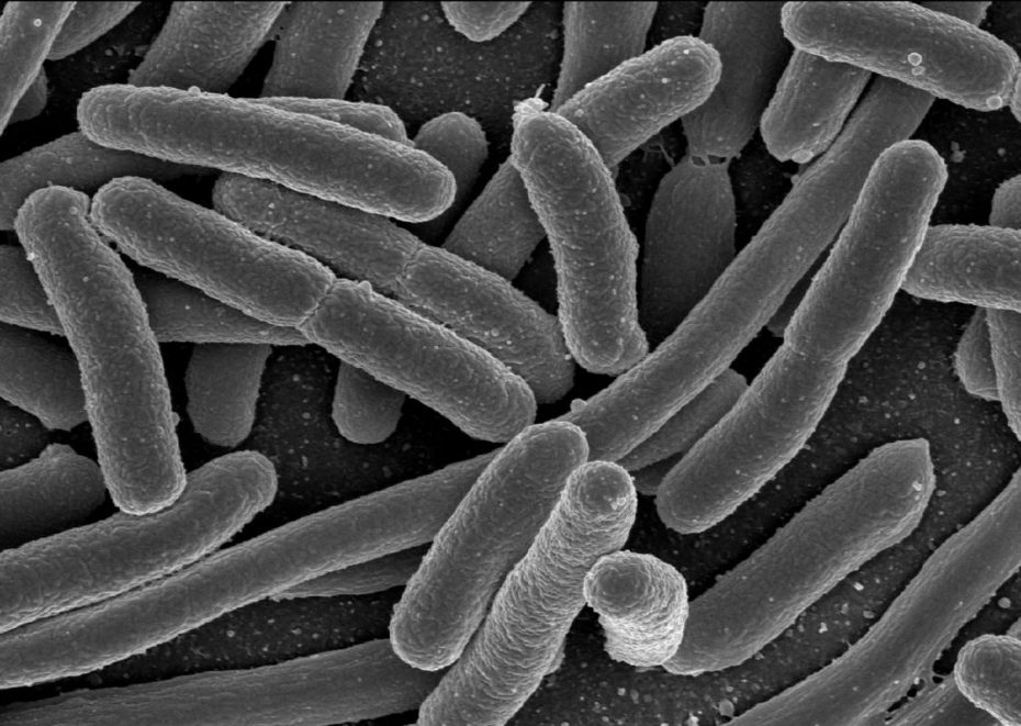 Photo of The Tiniest Big Science