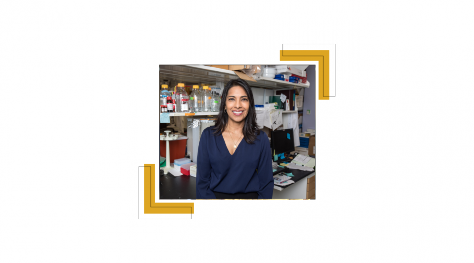 Photo of Sangeeta Bhatia, Expert Connect Member