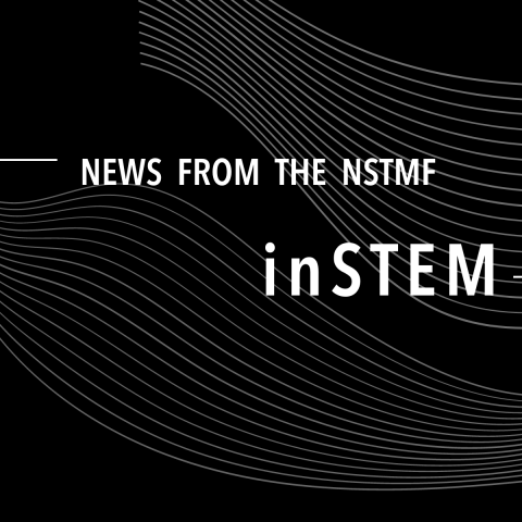 News from the NSTMF: inSTEM